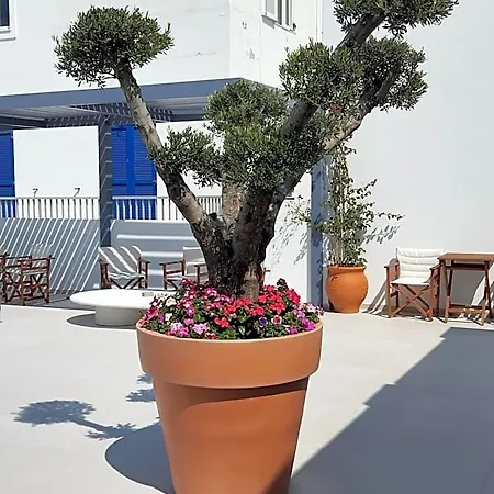 Meridiano Hotel